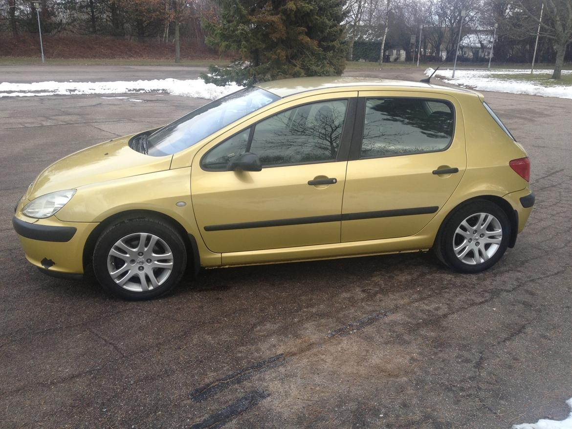 Peugeot 307 billede 12