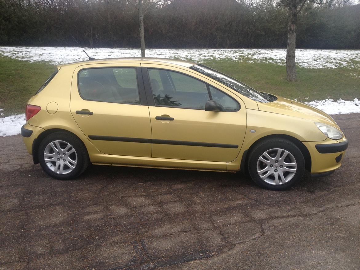 Peugeot 307 billede 13