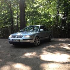 VW Passat  man.limousine