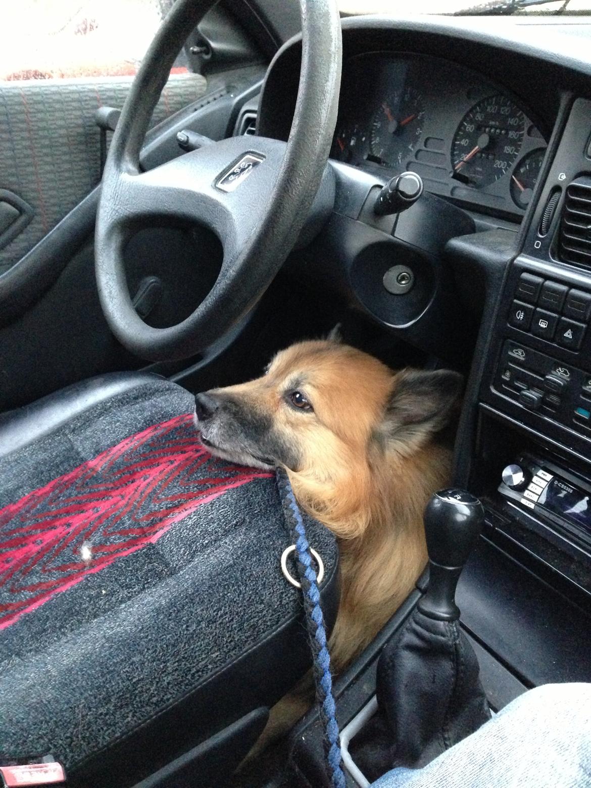 Peugeot 405 EXPRESS billede 16