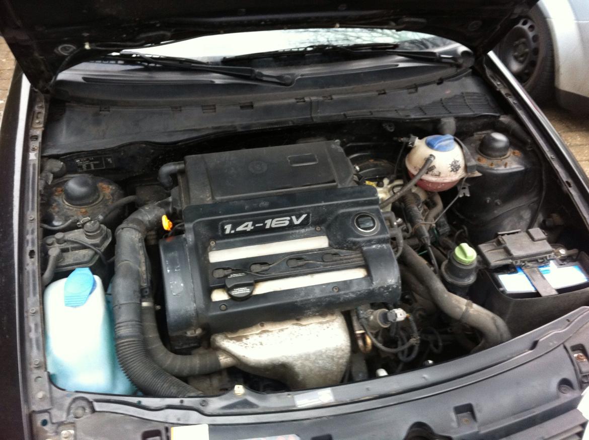 Seat Ibiza 6K2 billede 7