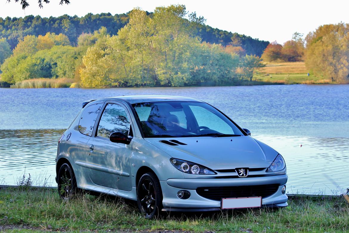 Peugeot 206 Gti billede 10