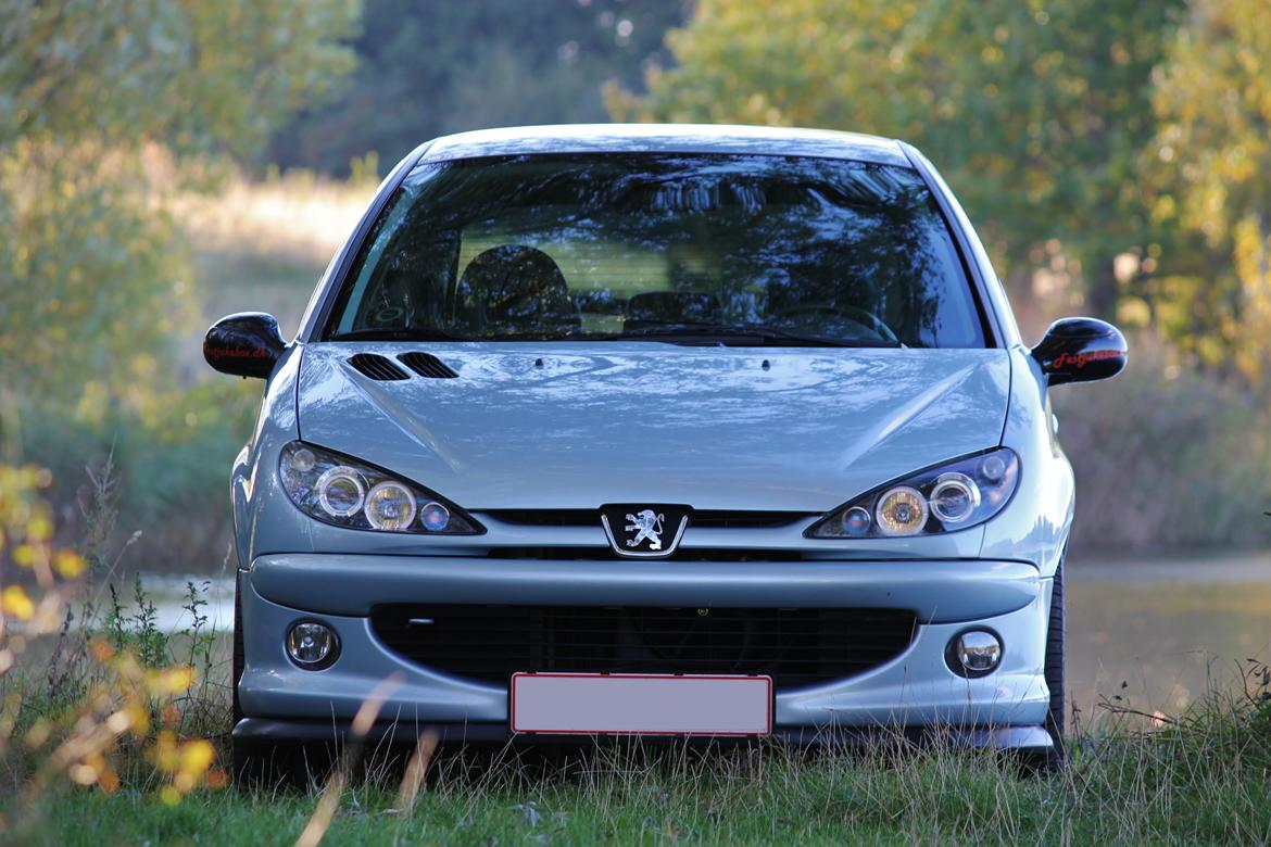 Peugeot 206 Gti billede 12