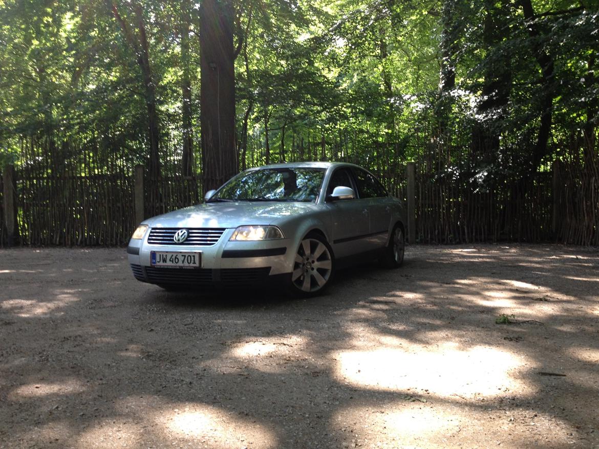 VW Passat  man.limousine billede 1