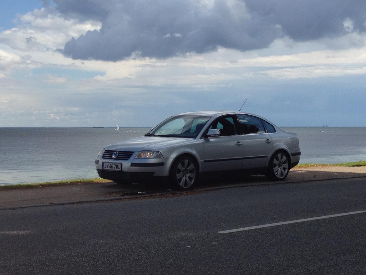 VW Passat  man.limousine billede 2