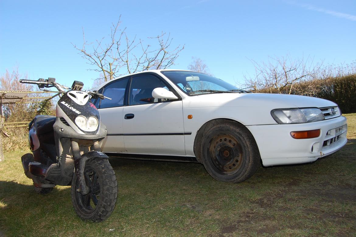 Toyota Corolla E10 1,3 XLi billede 16