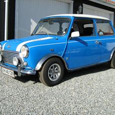 Austin-Morris Mascot