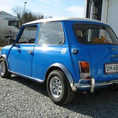 Austin-Morris Mascot