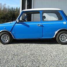 Austin-Morris Mascot