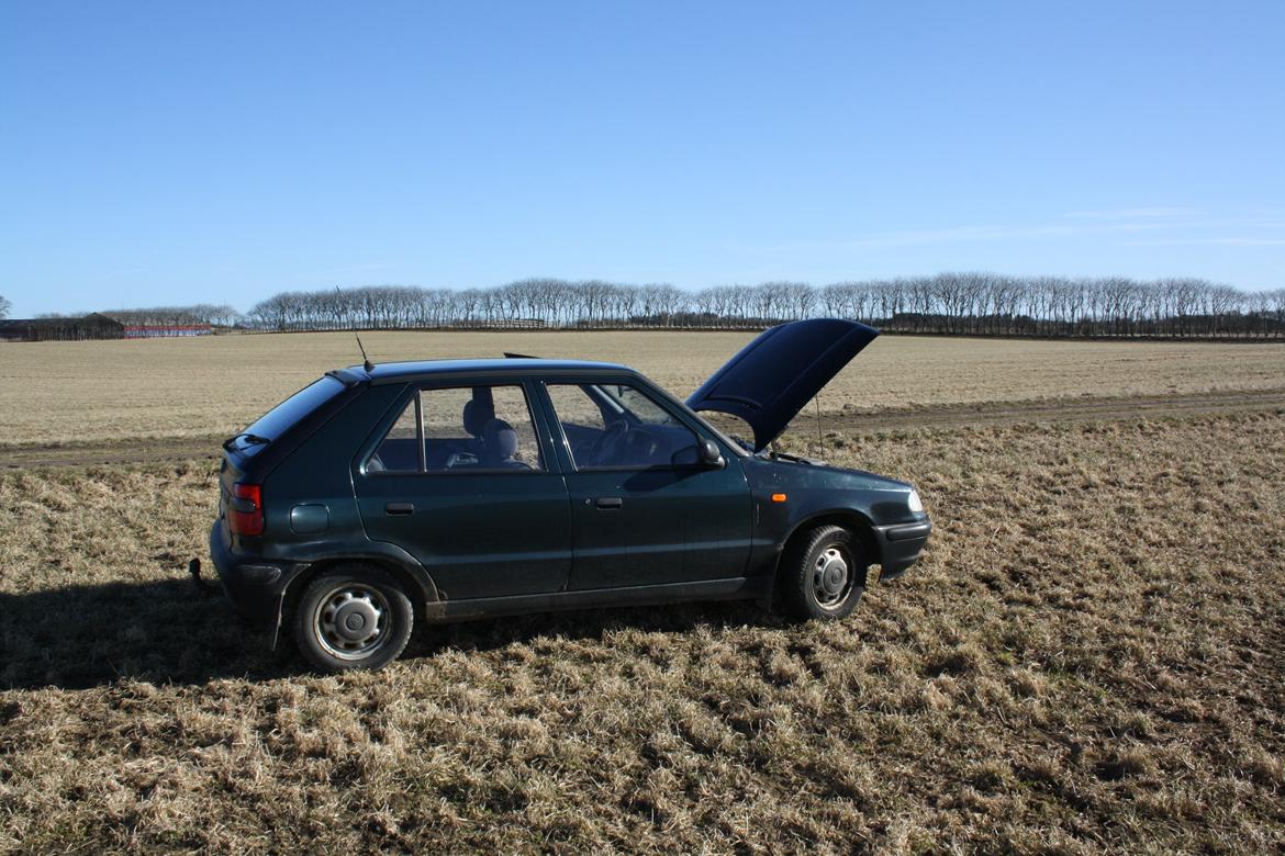 Skoda felicia (skrottet) billede 9
