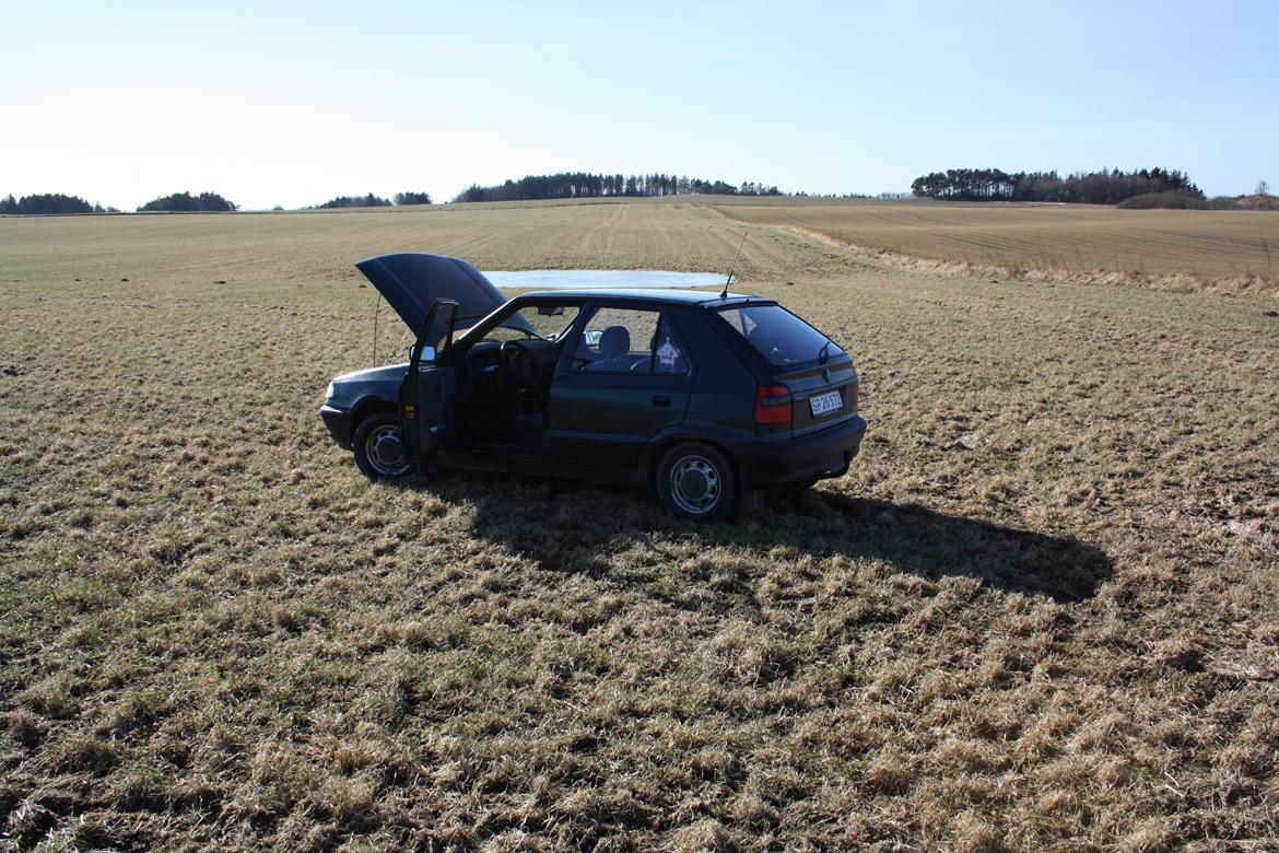 Skoda felicia (skrottet) billede 10