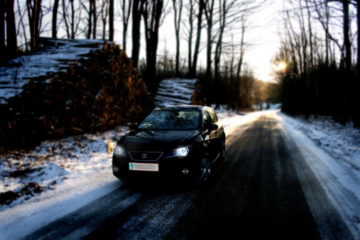 Seat Ibiza Style billede 9