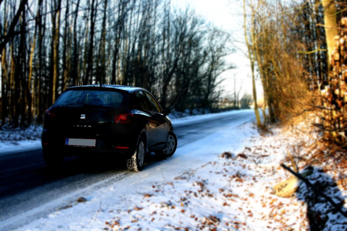 Seat Ibiza Style billede 10