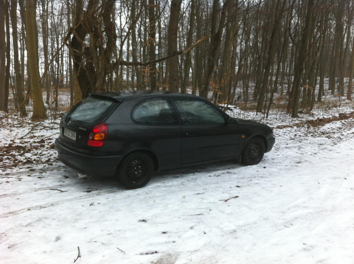 Toyota Corolla E11 =SOLGT= billede 6