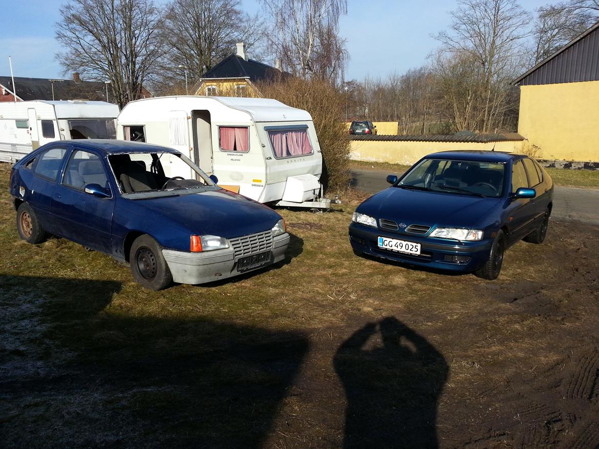 Nissan primera billede 1