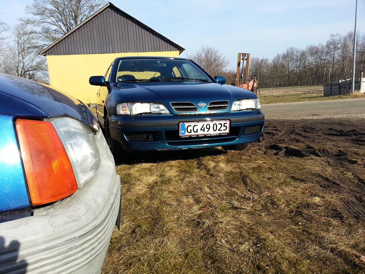 Nissan primera billede 2