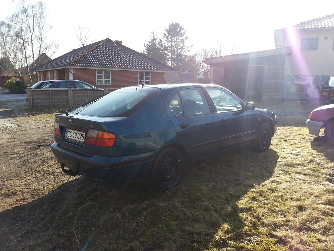 Nissan primera billede 4