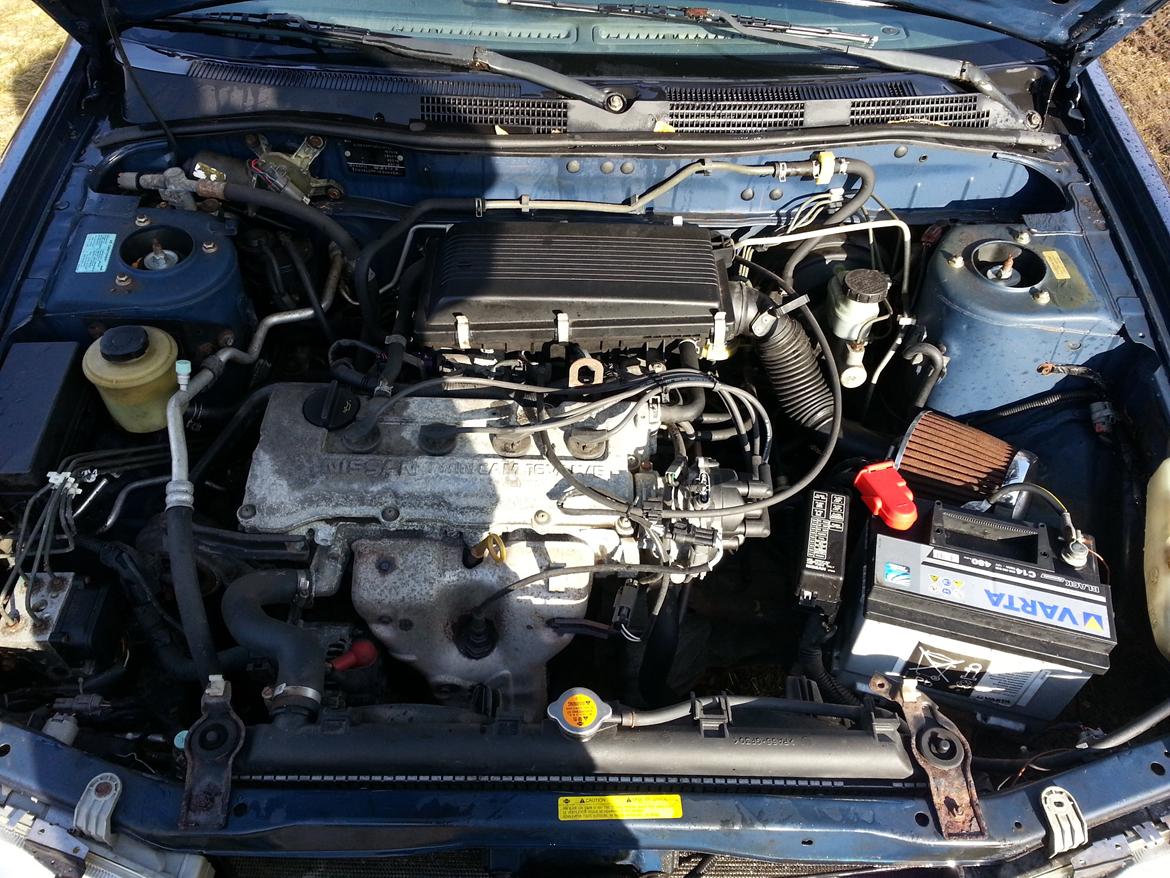 Nissan primera billede 12