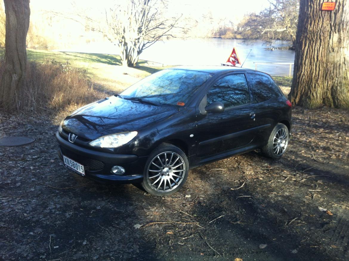 Peugeot 206 S16 billede 1