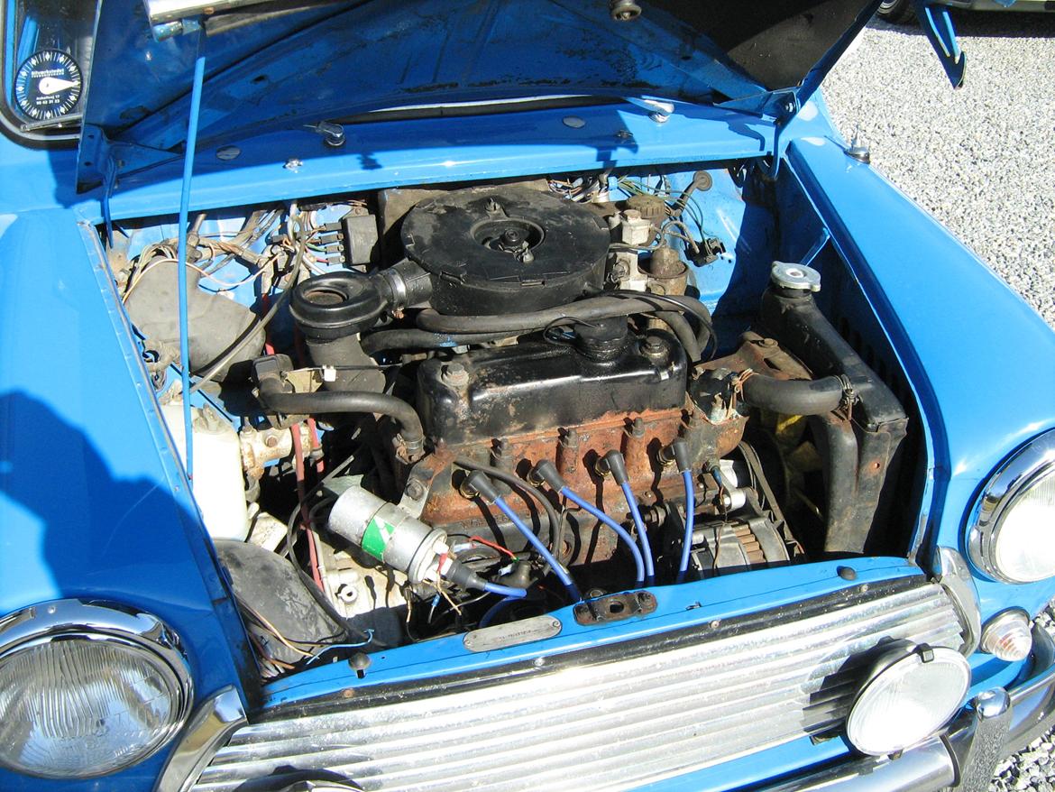 Austin-Morris Mascot billede 8