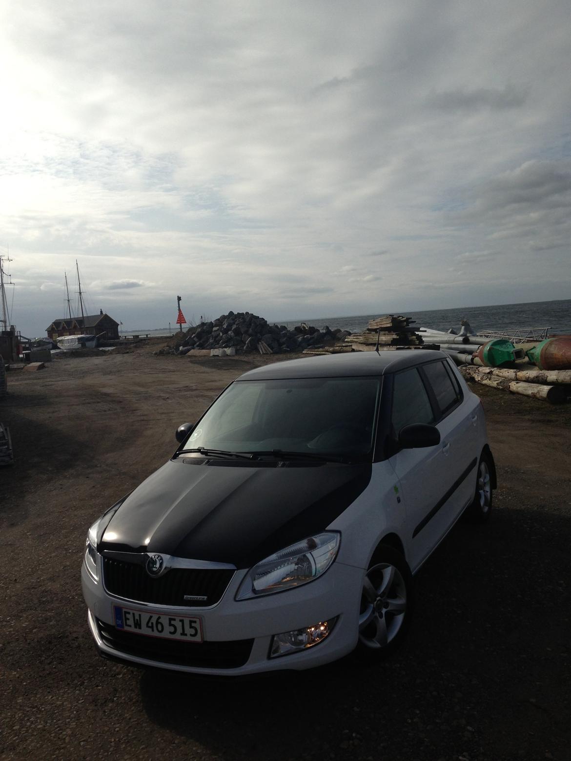 Skoda fabia billede 1