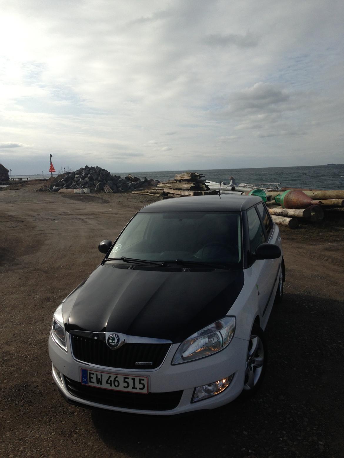 Skoda fabia billede 2