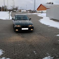 BMW 323i Coupe før lakering