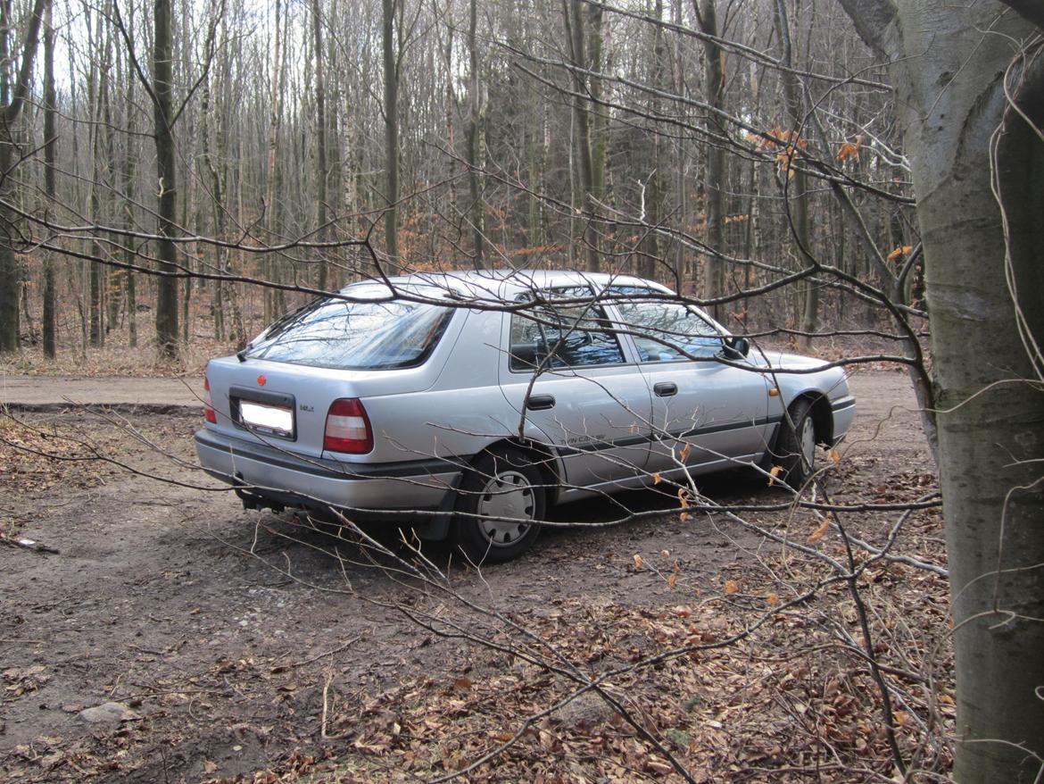 Nissan Sunny "Twincam" billede 4