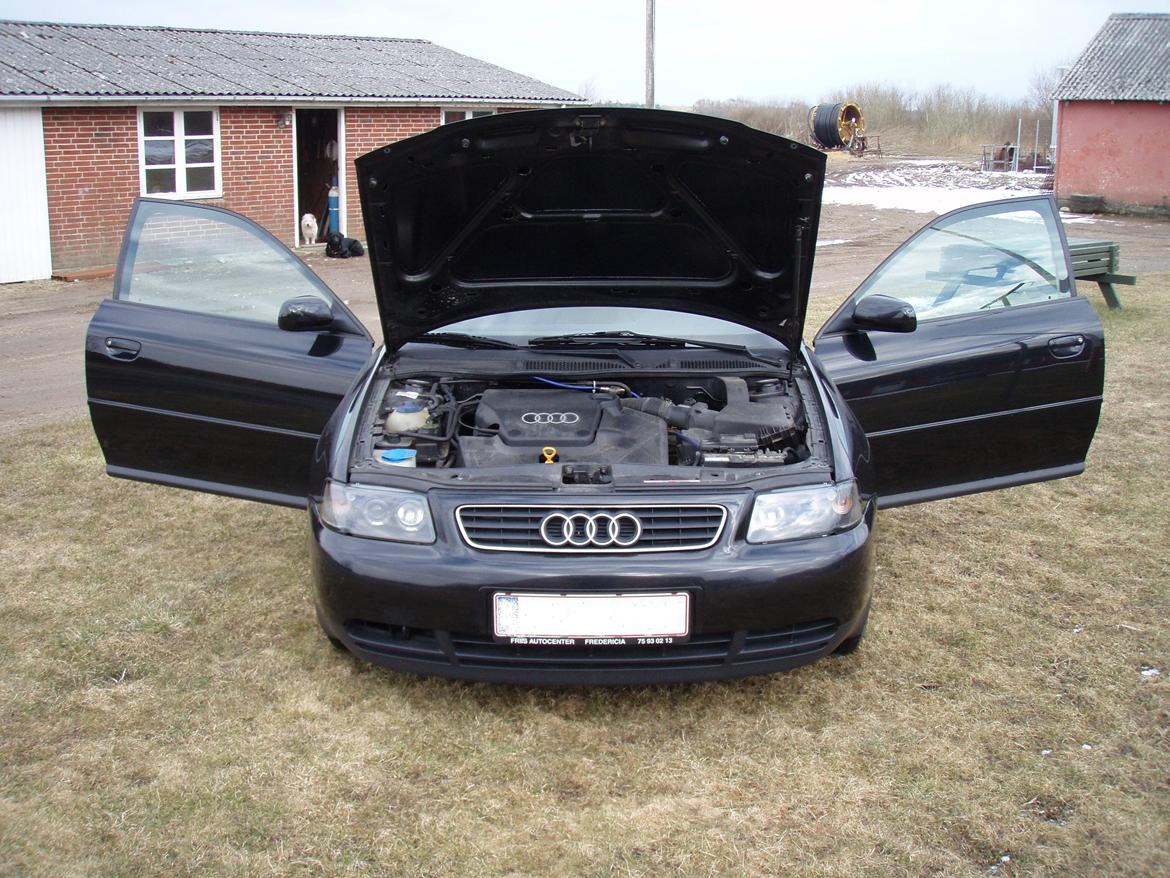 Audi A3 Ambiente billede 11