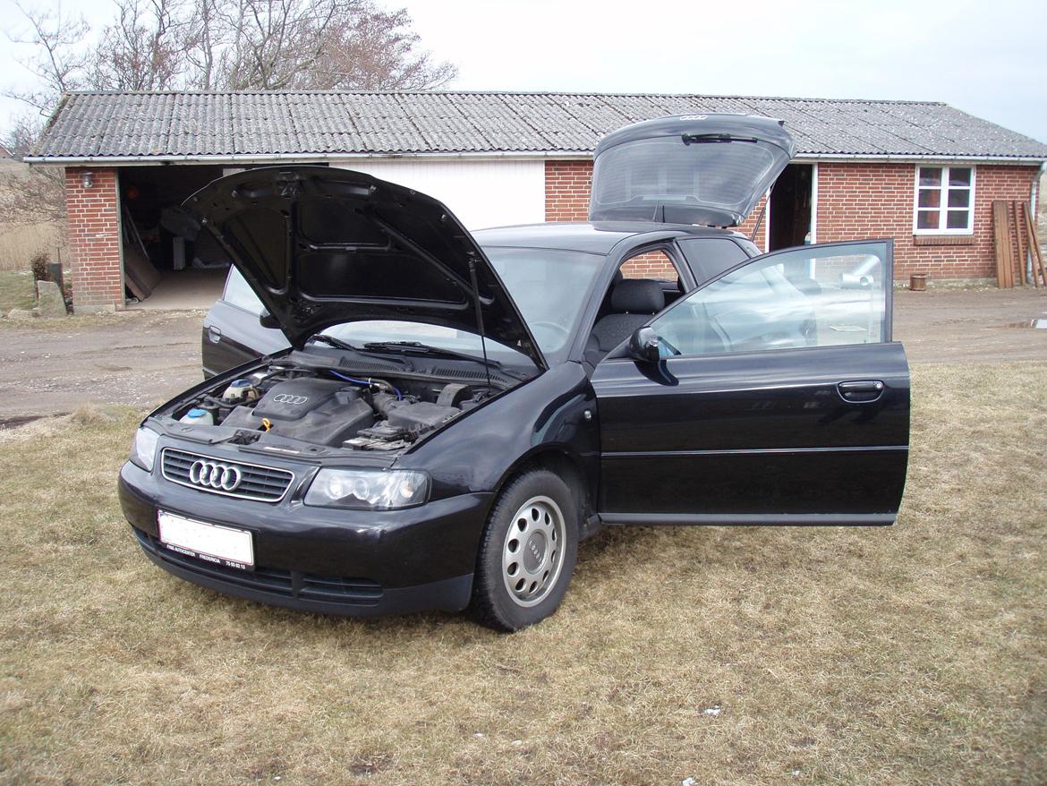 Audi A3 Ambiente billede 17