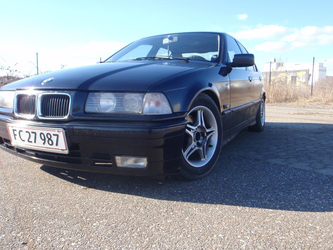 BMW 316E36 billede 1