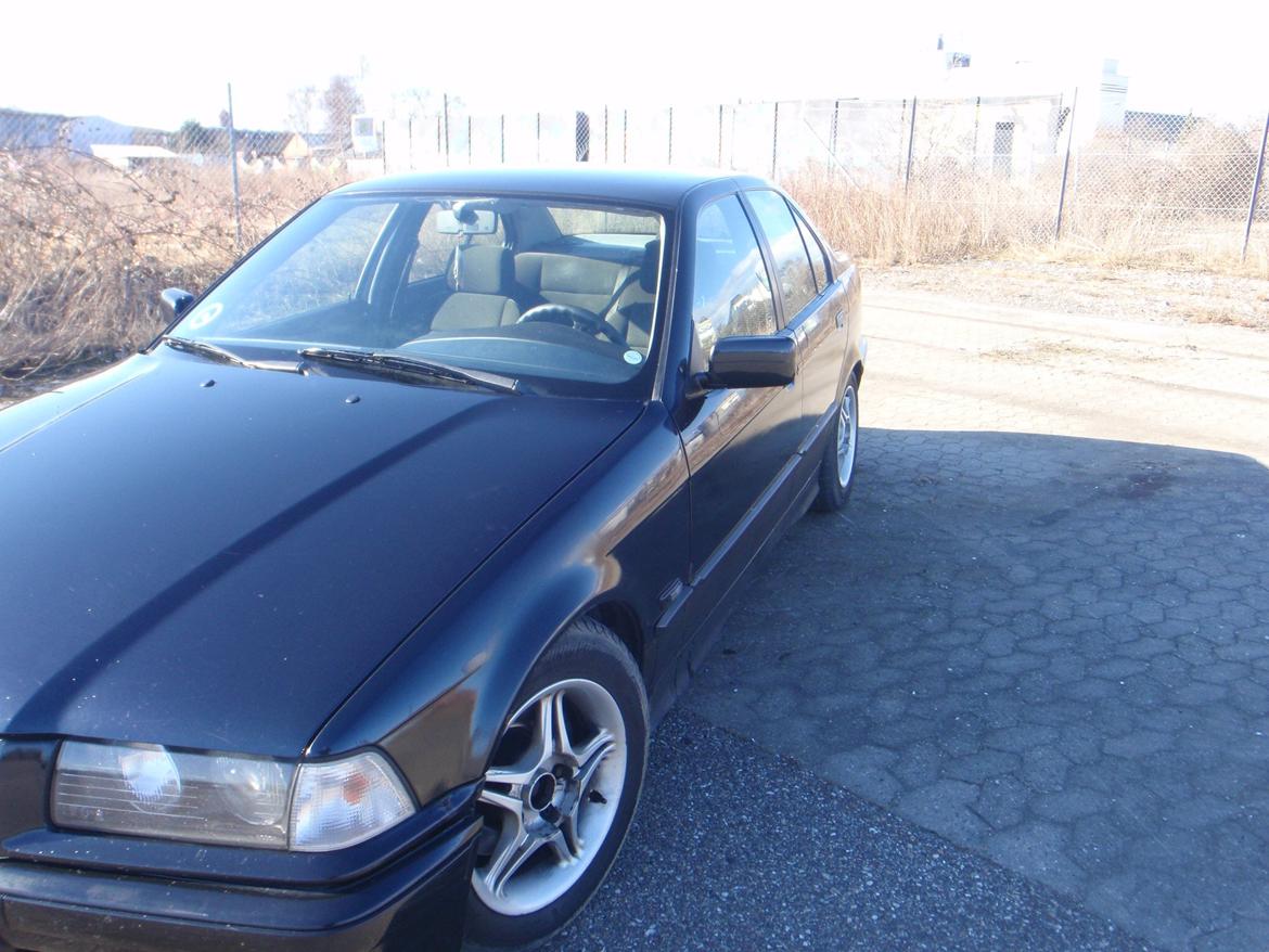 BMW 316E36 billede 6