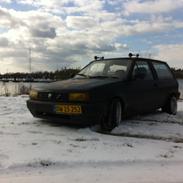 VW Polo fox
