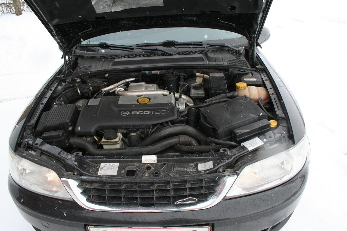 Opel Vectra B billede 16