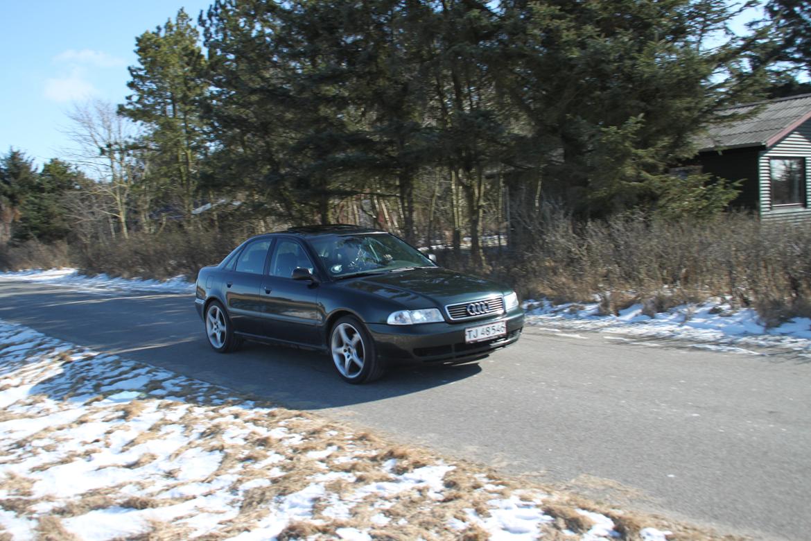 Audi A4 billede 13