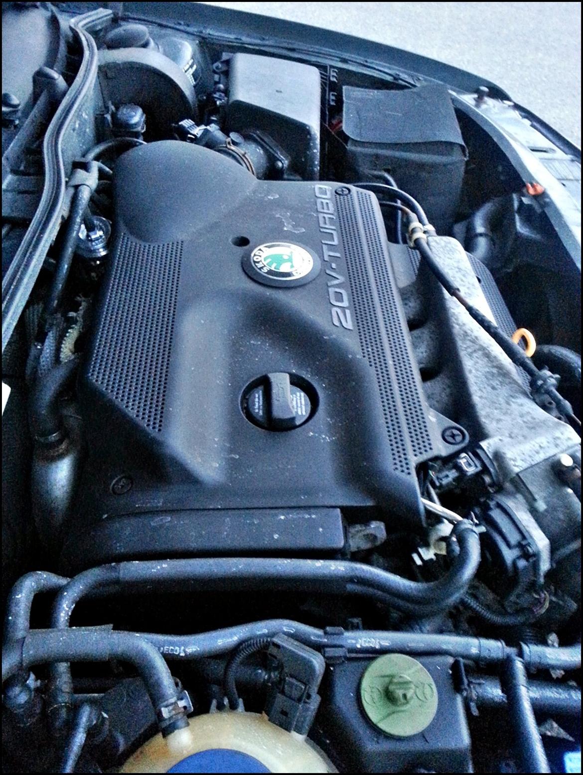 Skoda Octavia Combi 1.8T billede 11