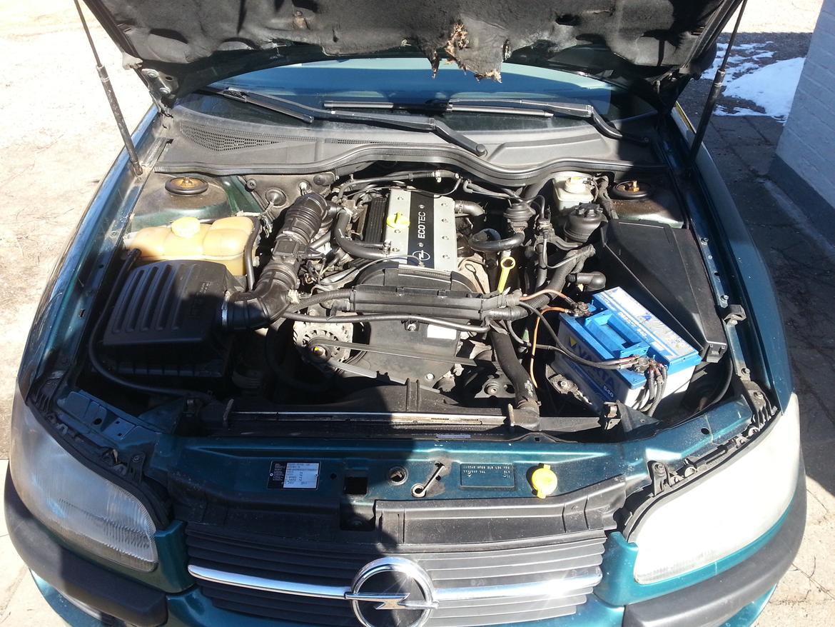 Opel Omega B GL billede 13