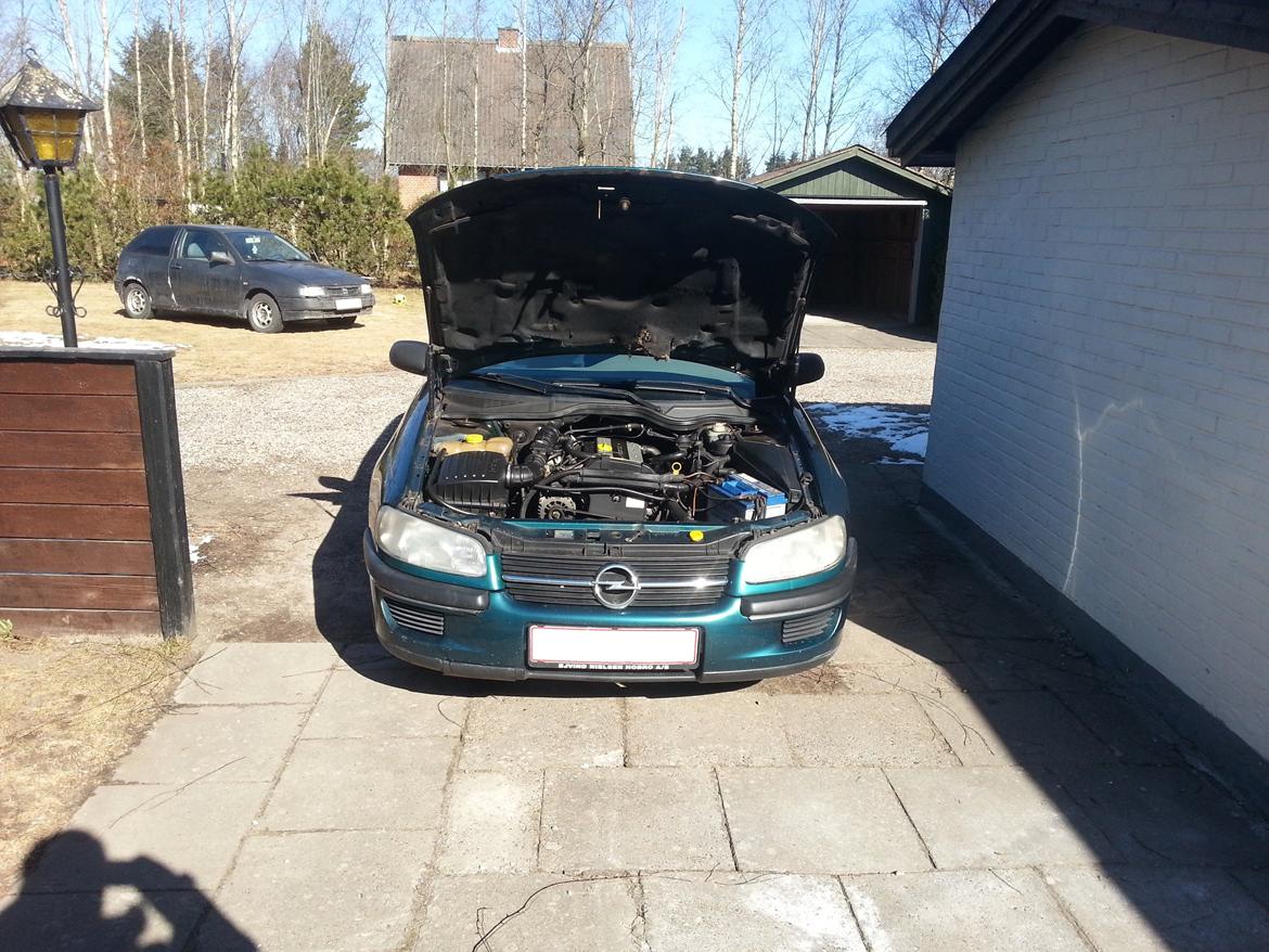 Opel Omega B GL billede 14