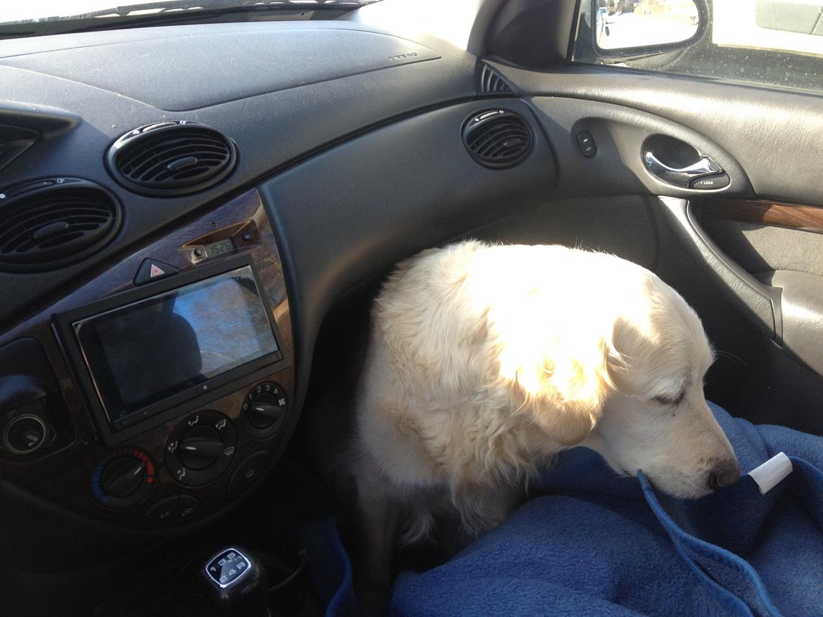 Ford Focus Ghia billede 3