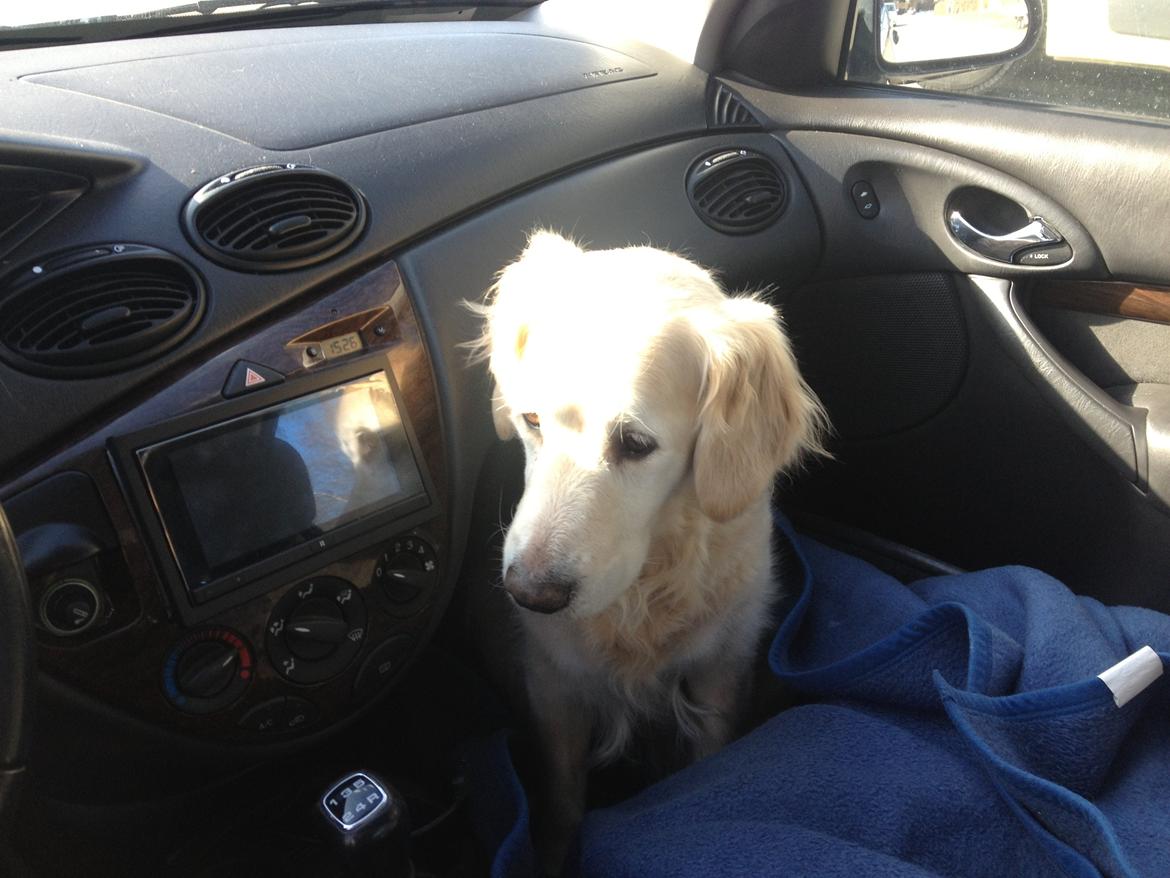 Ford Focus Ghia billede 5