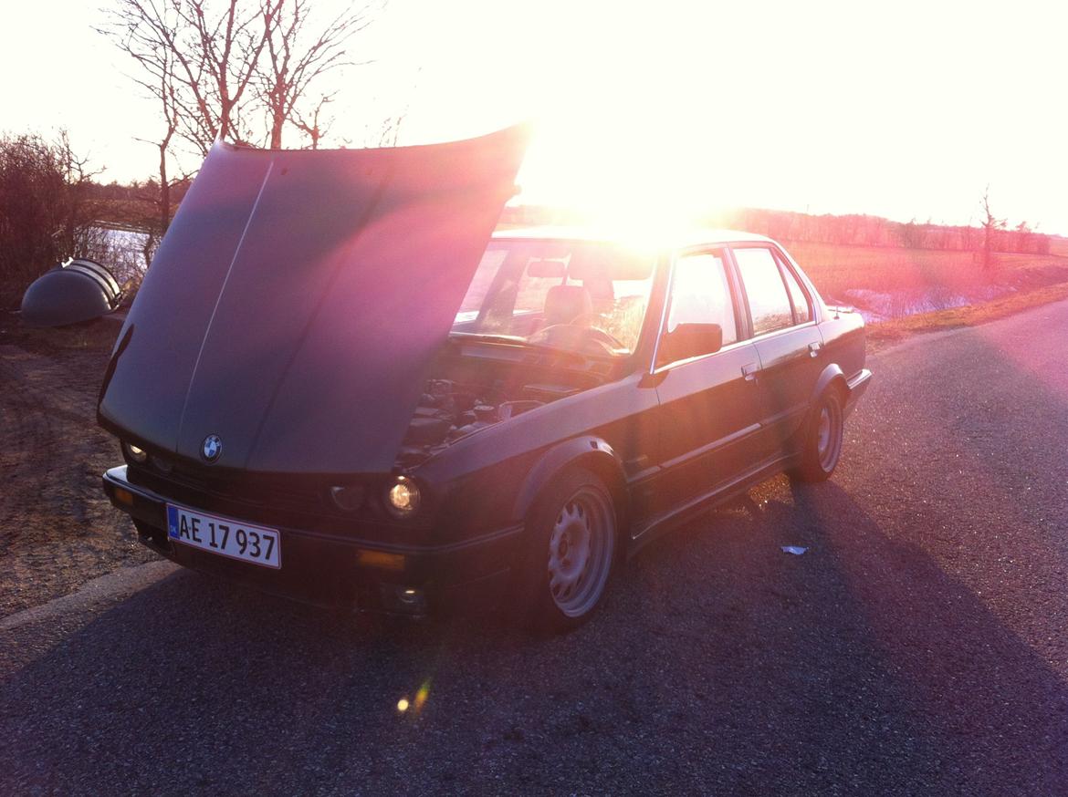 BMW E30 320i billede 12