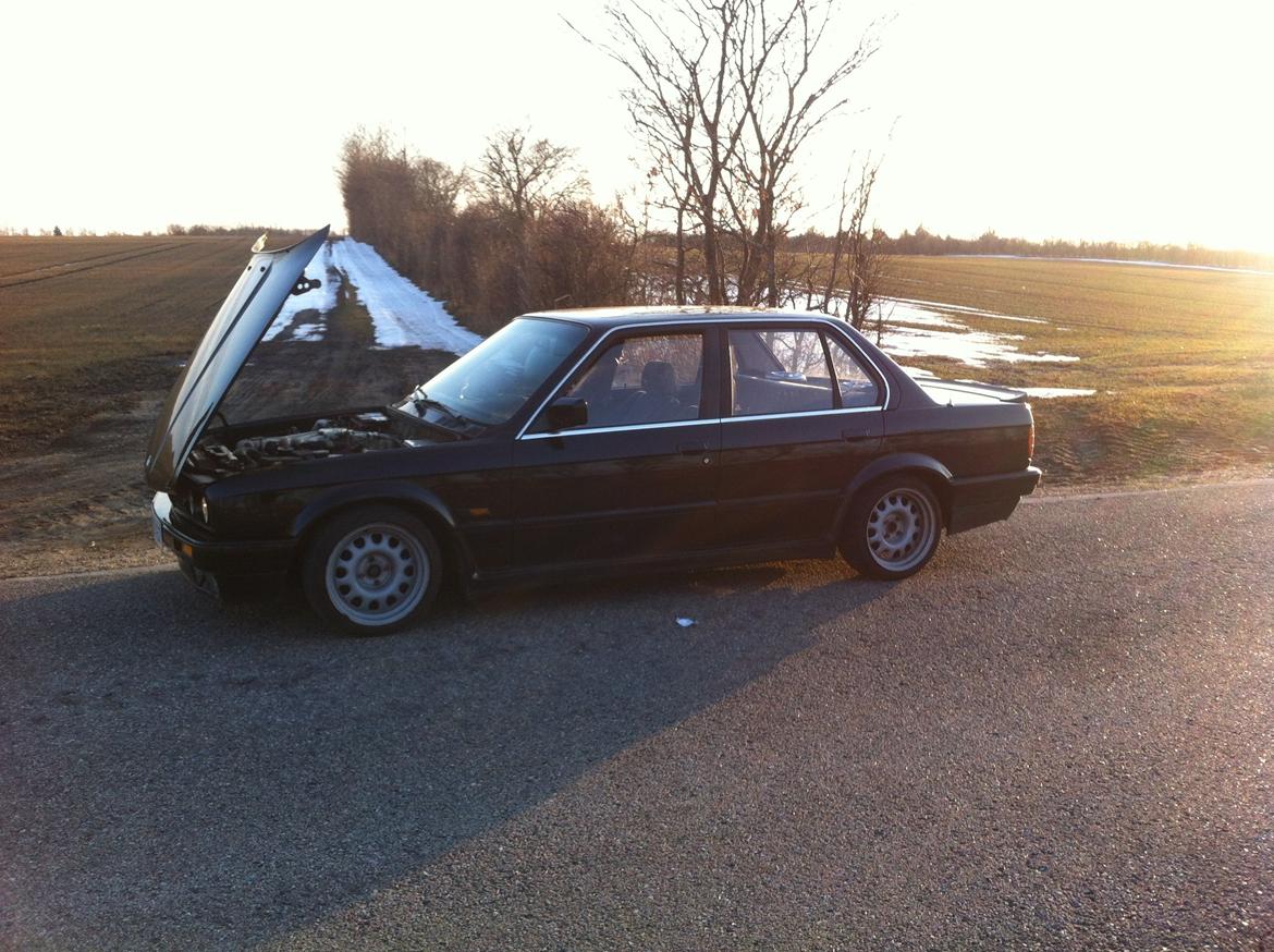 BMW E30 320i billede 13