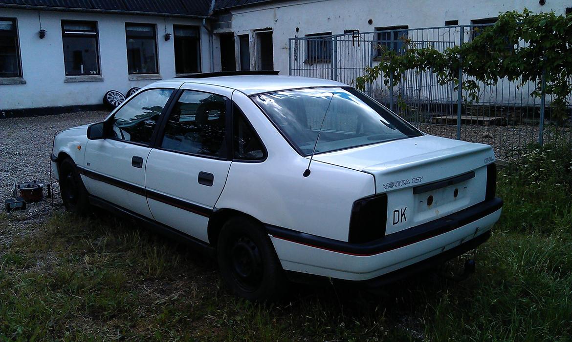 Opel Vectra a GT billede 5