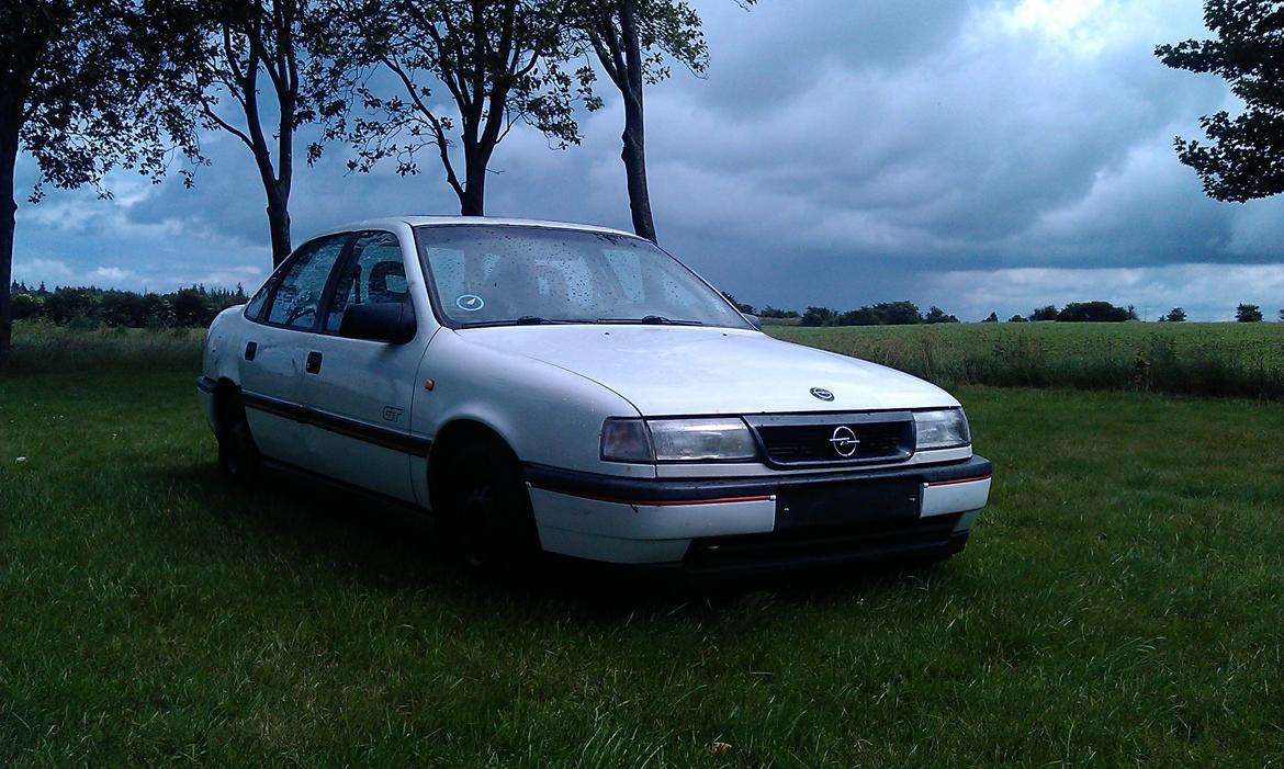 Opel Vectra a GT billede 8