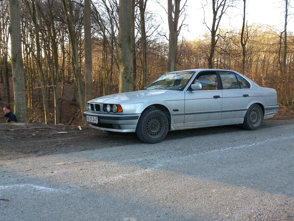 BMW 518i Executive billede 2