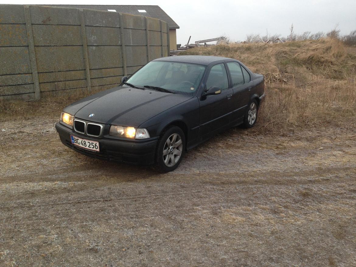 BMW 3 serie E36 316 billede 6