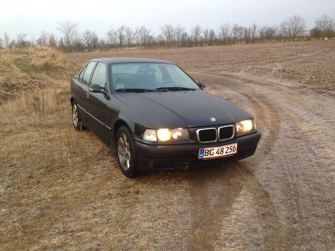 BMW 3 serie E36 316 billede 7