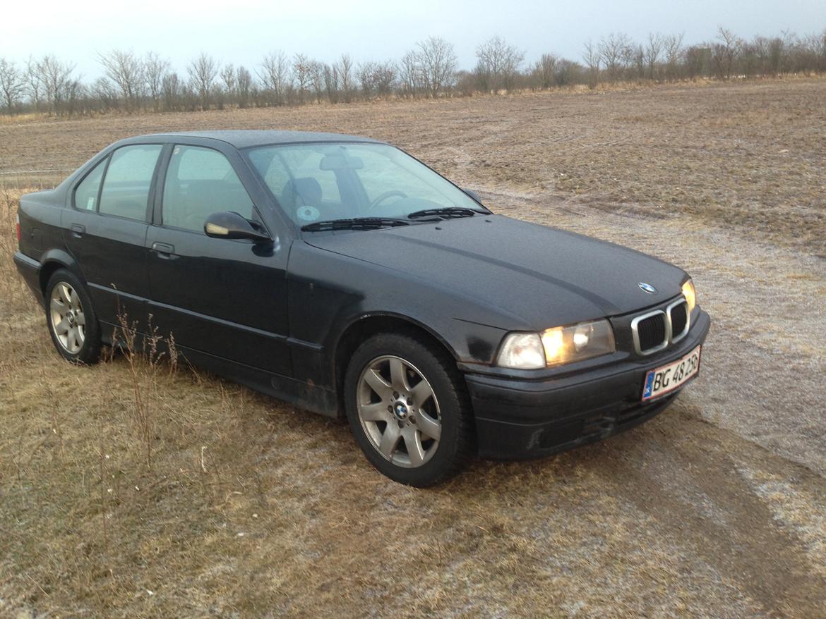BMW 3 serie E36 316 billede 2