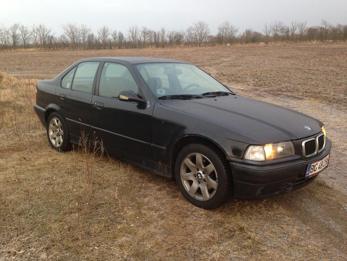 BMW 3 serie E36 316 billede 8