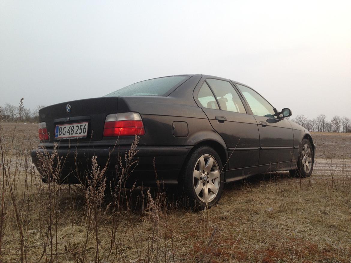BMW 3 serie E36 316 billede 1
